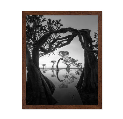 Willow Arc