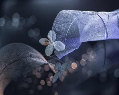 Winter Fantasy