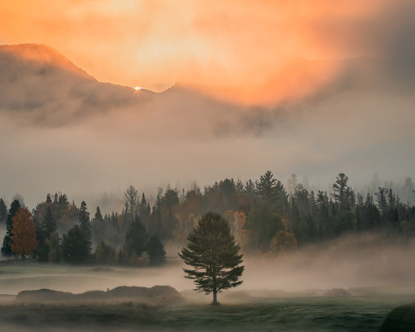 Mist No 1