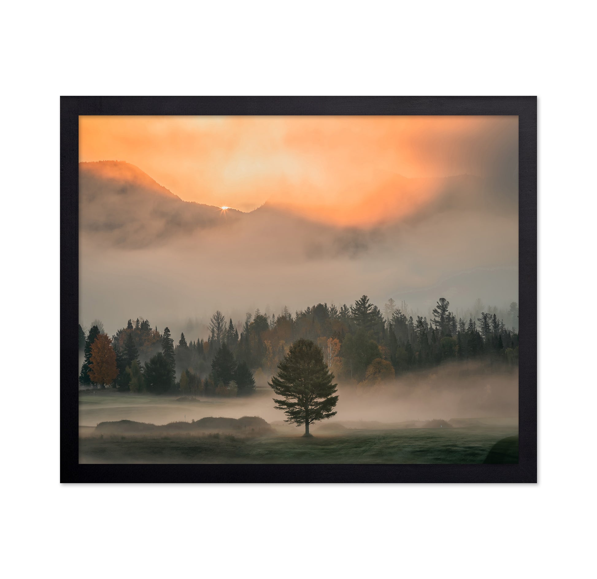 Mist No 1