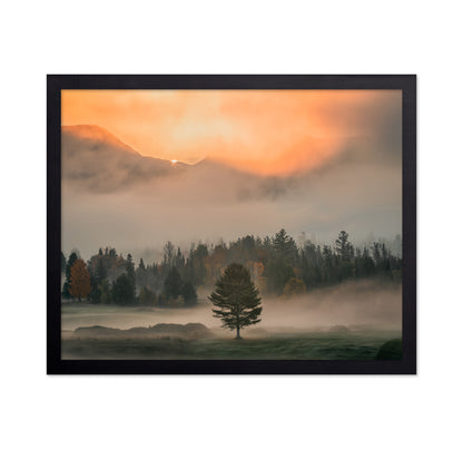 Mist No 1