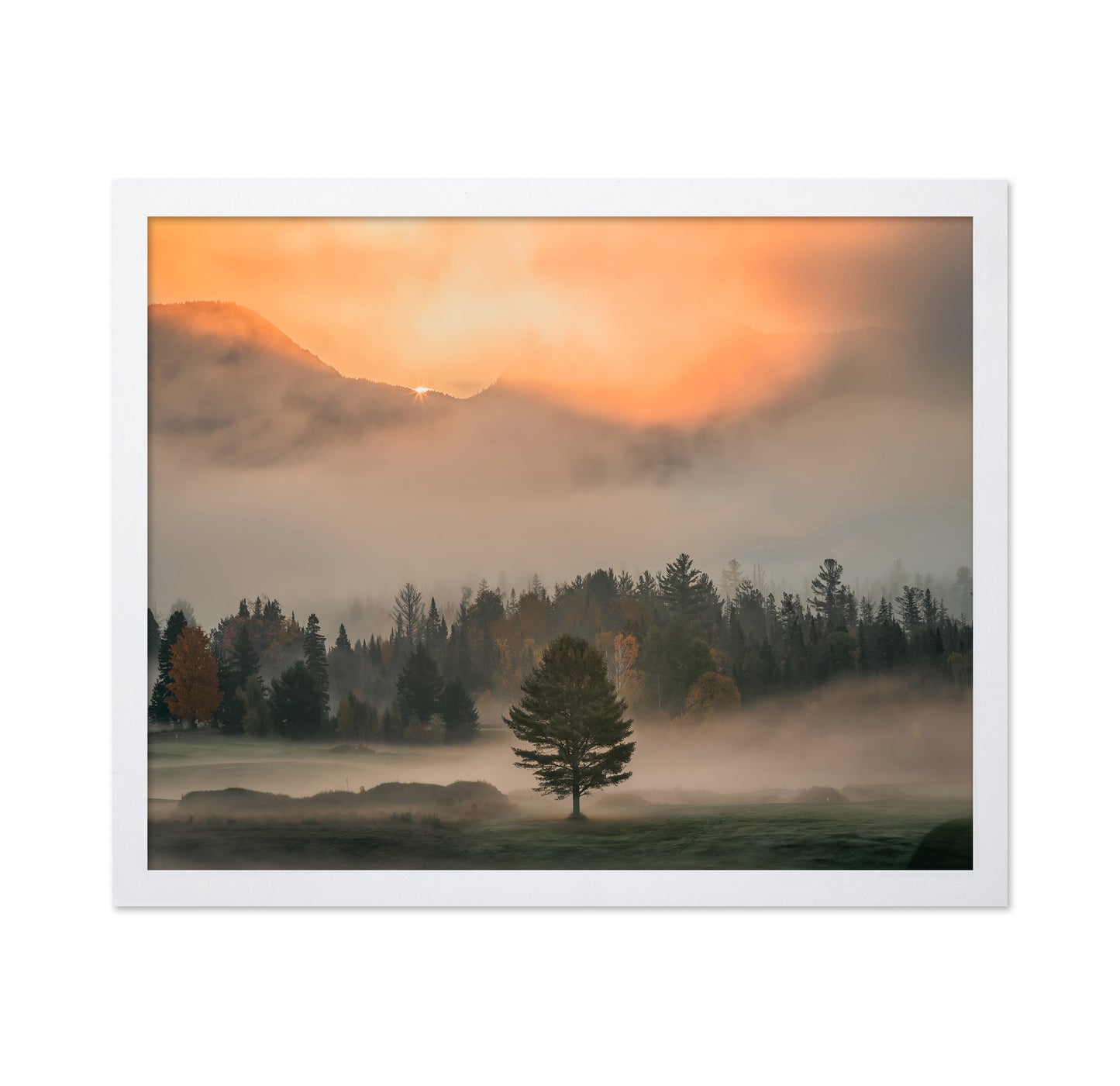 Mist No 1