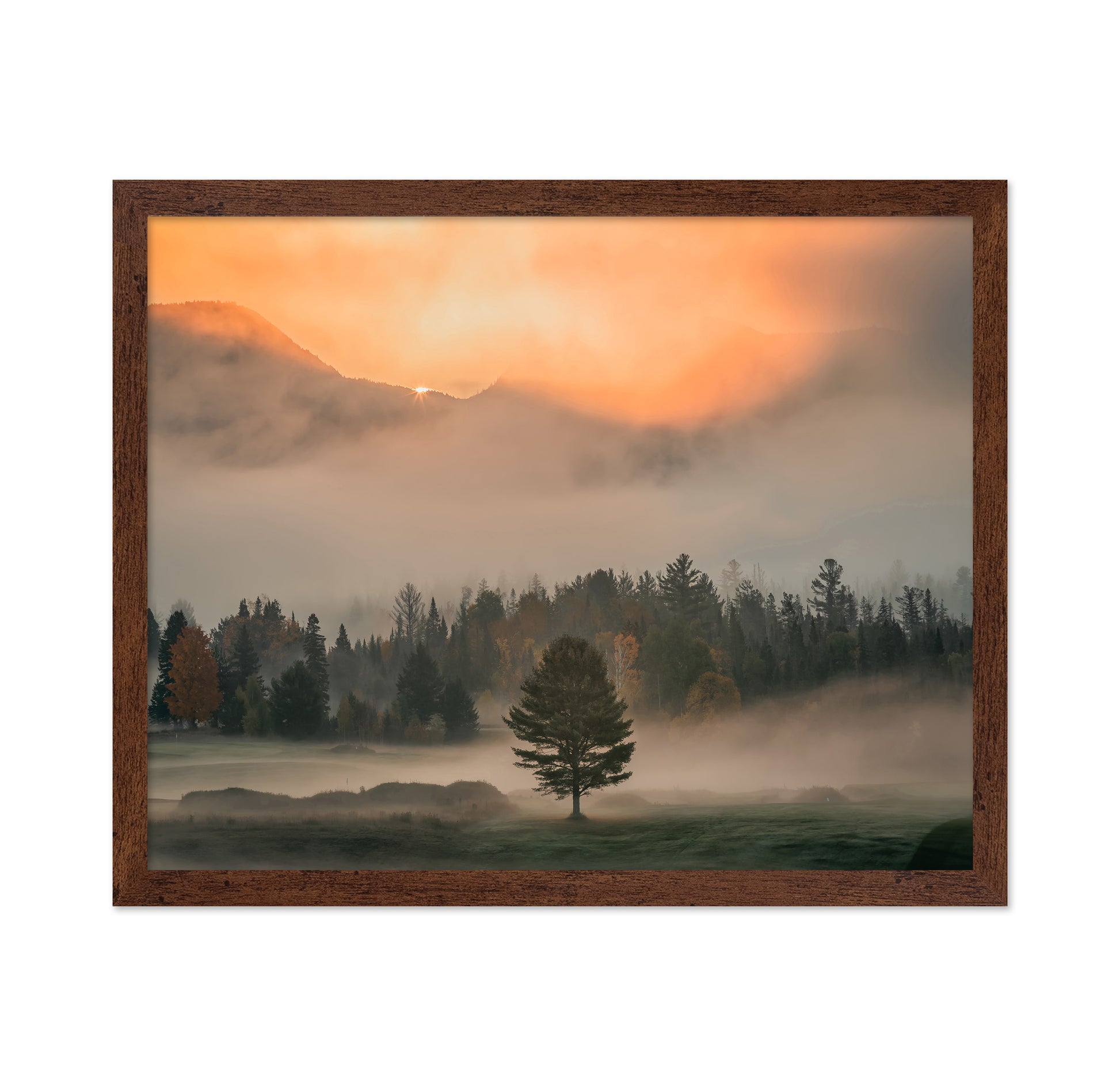 Mist No 1