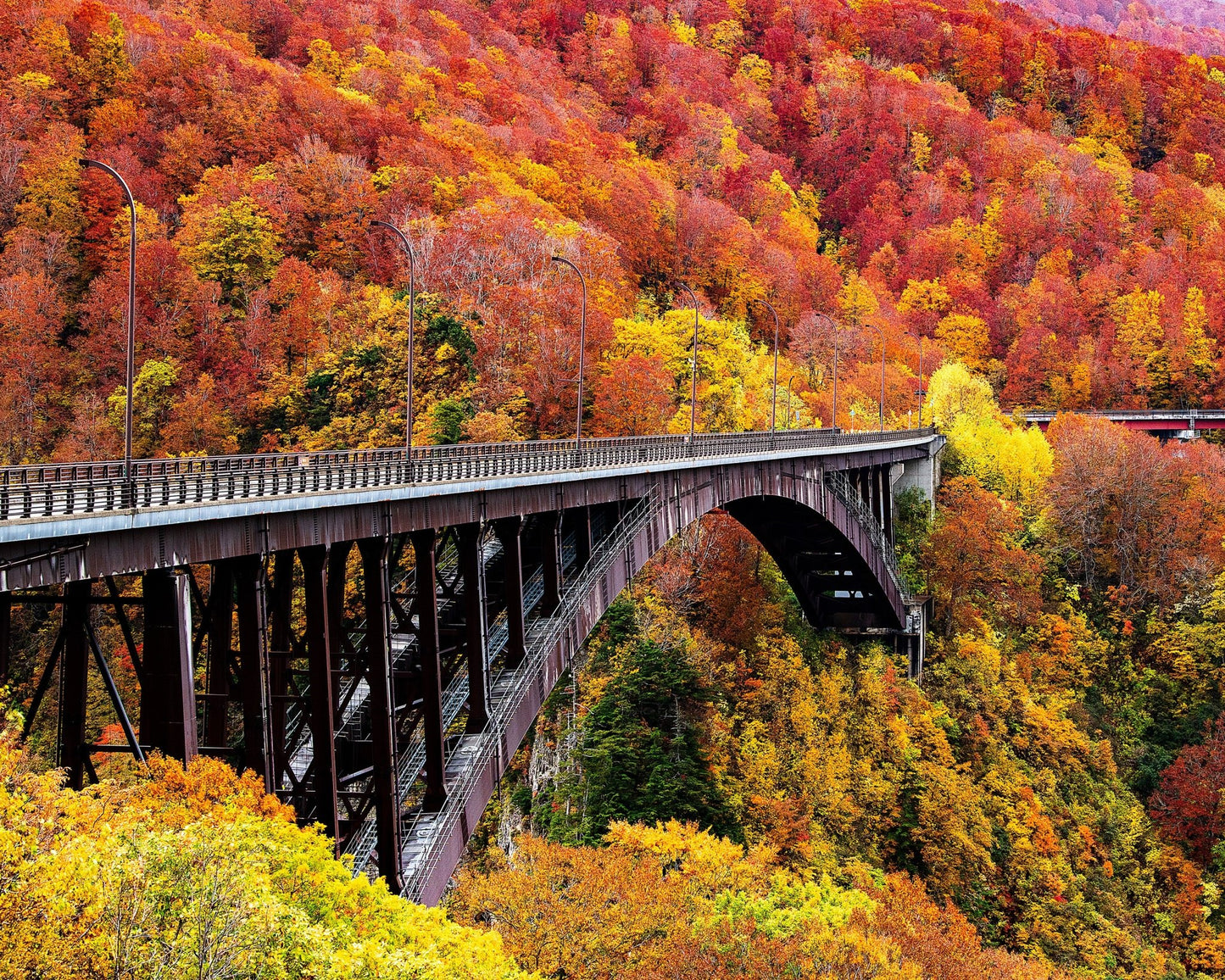 The Arch Bridge