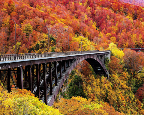 The Arch Bridge