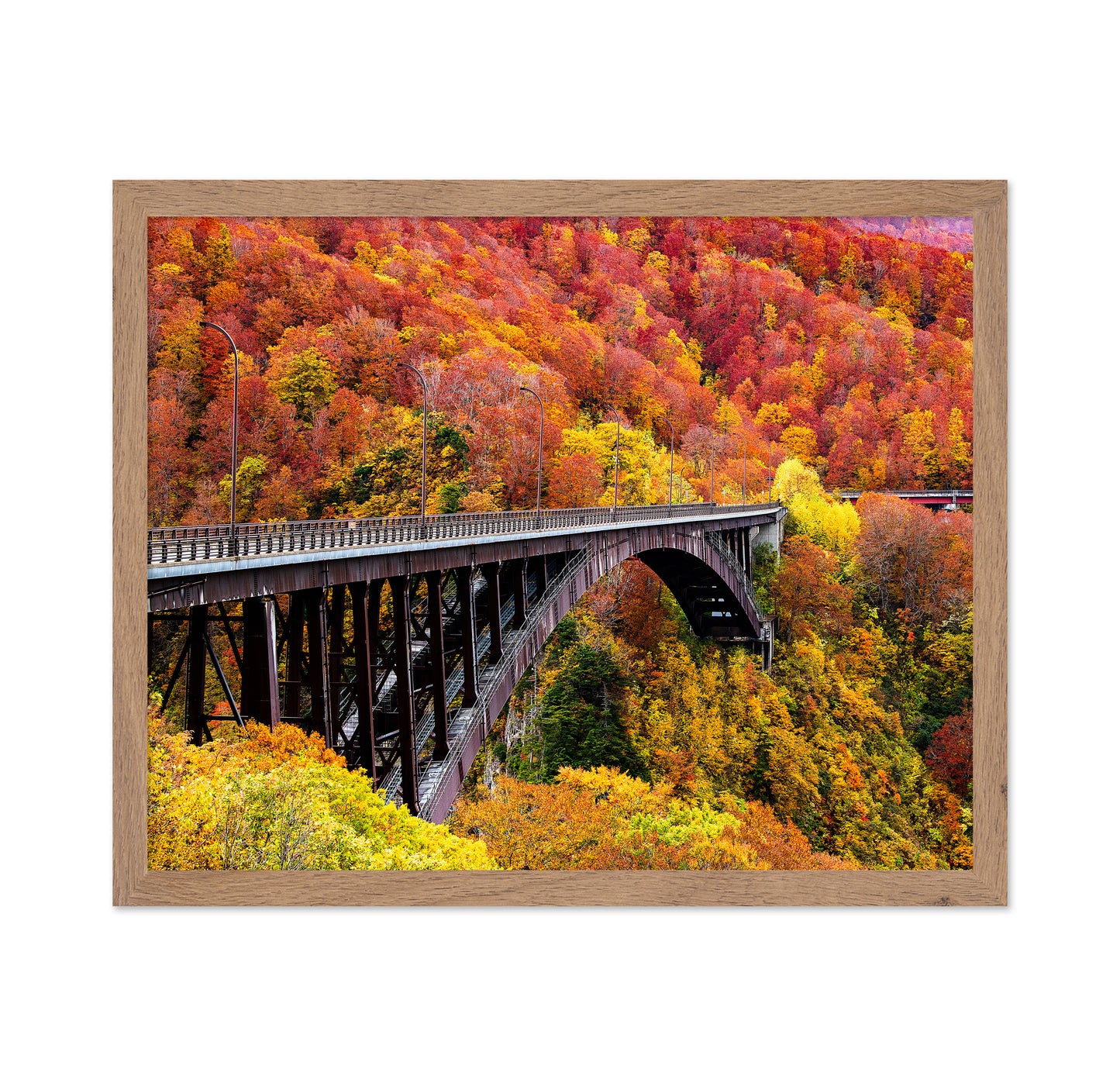 The Arch Bridge