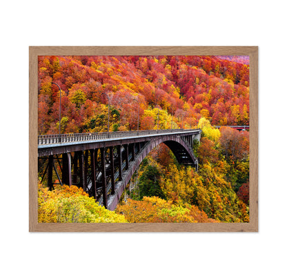 The Arch Bridge
