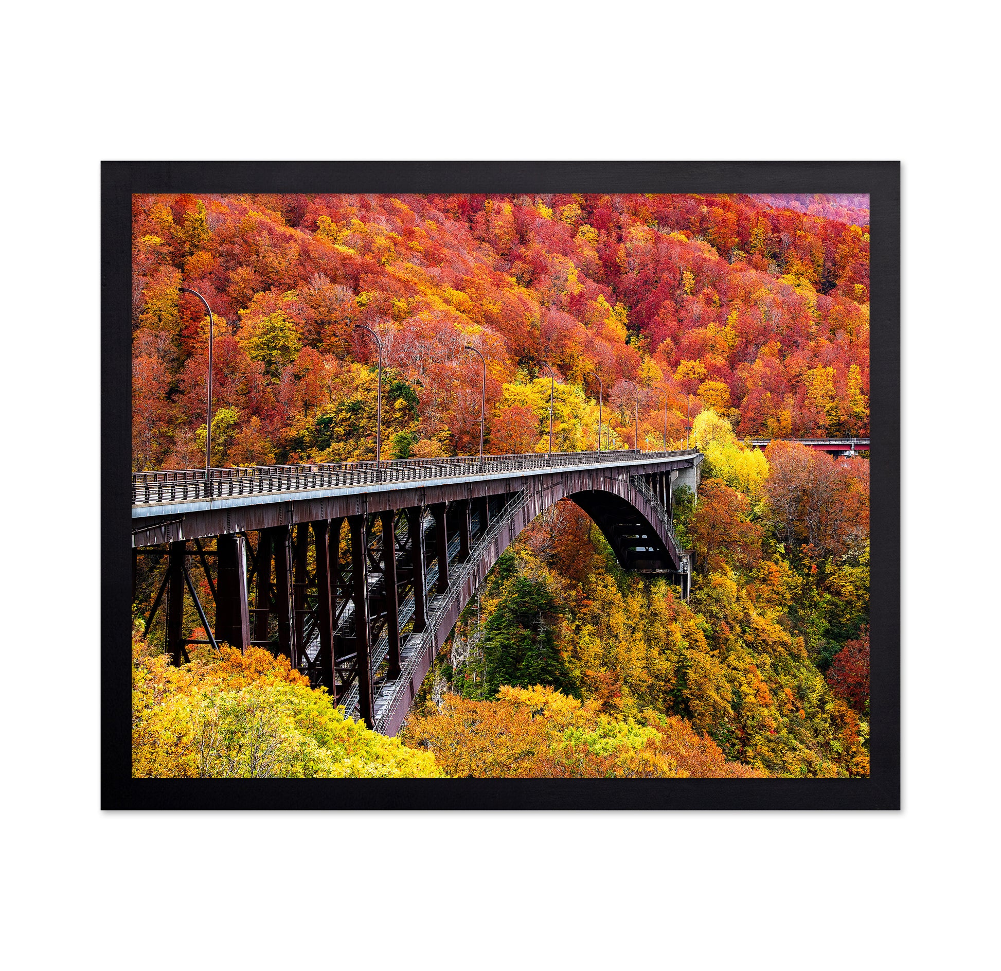 The Arch Bridge