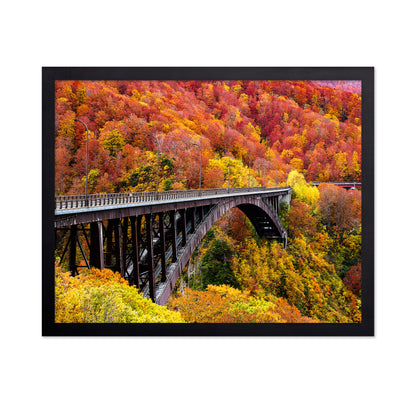 The Arch Bridge