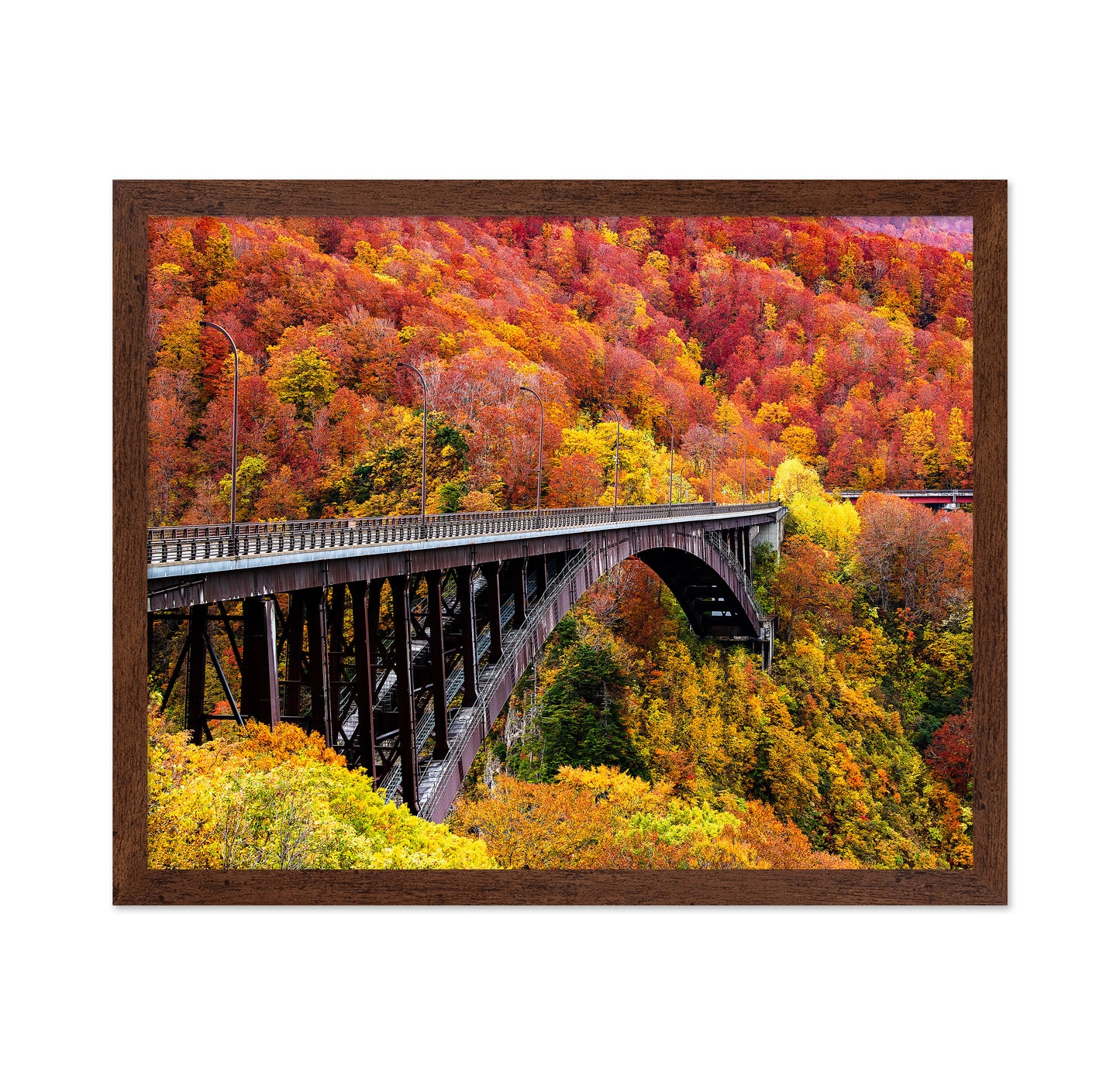 The Arch Bridge