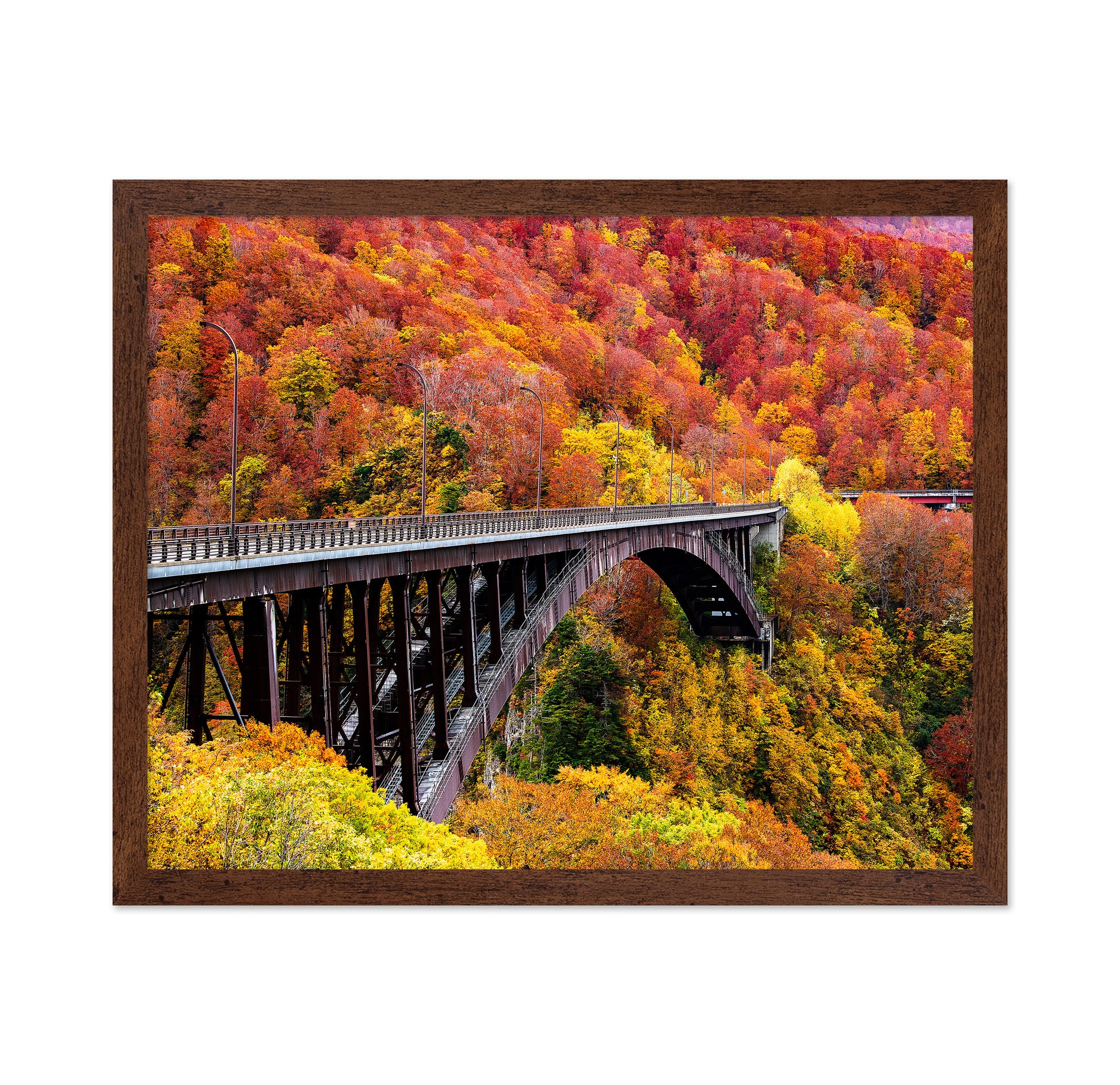The Arch Bridge