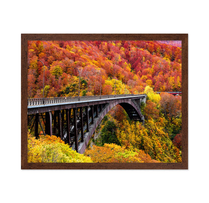 The Arch Bridge