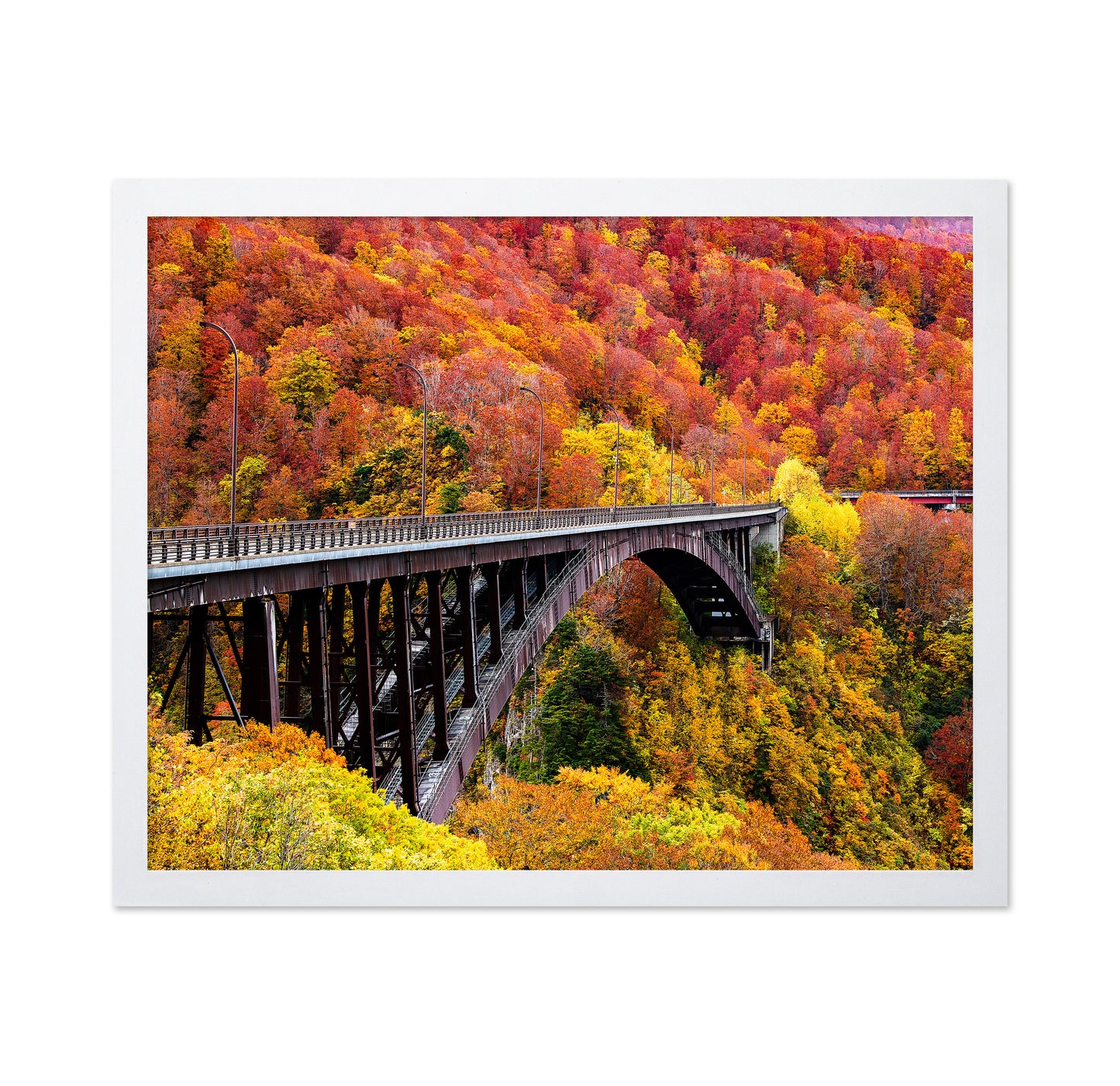 The Arch Bridge
