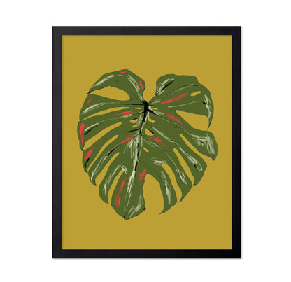 Monstera Leaf Green