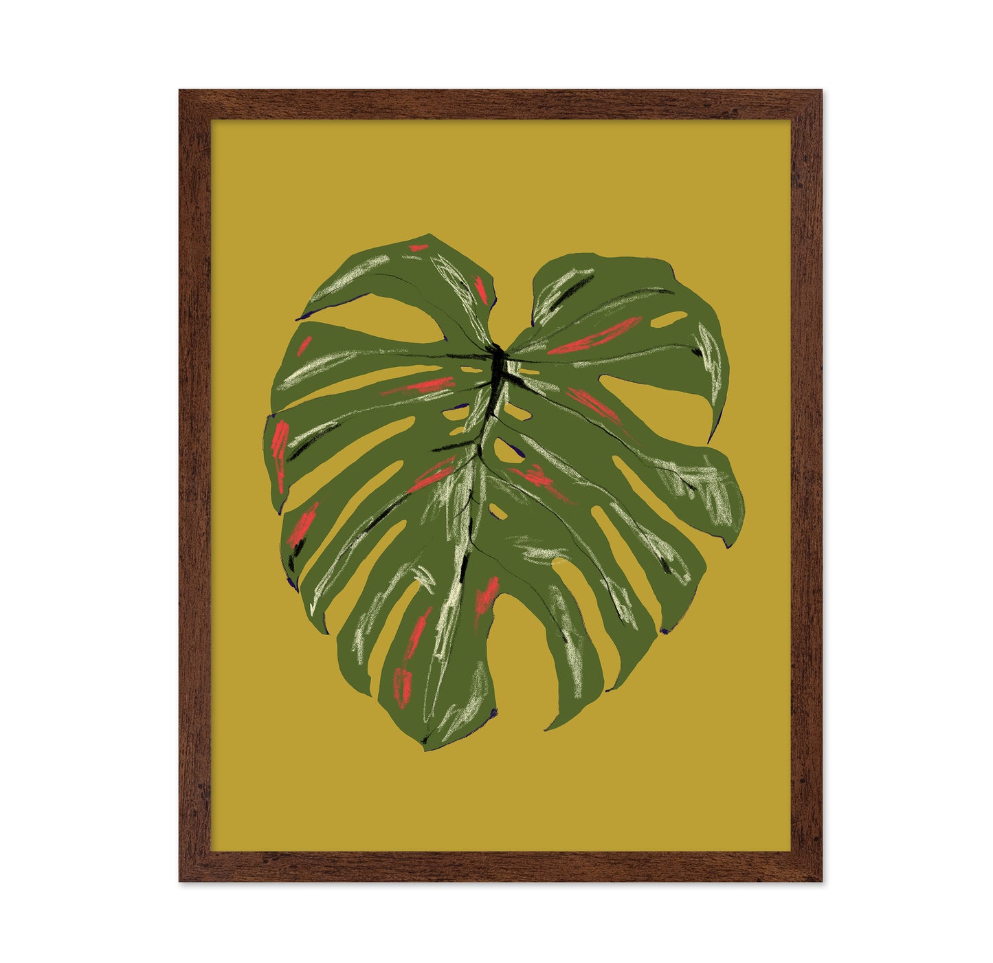 Monstera Leaf Green