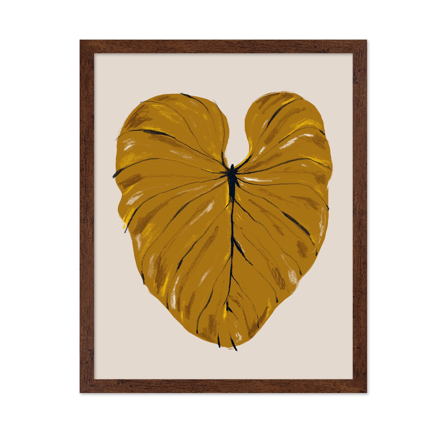Philodendron Gloriosum Mustard