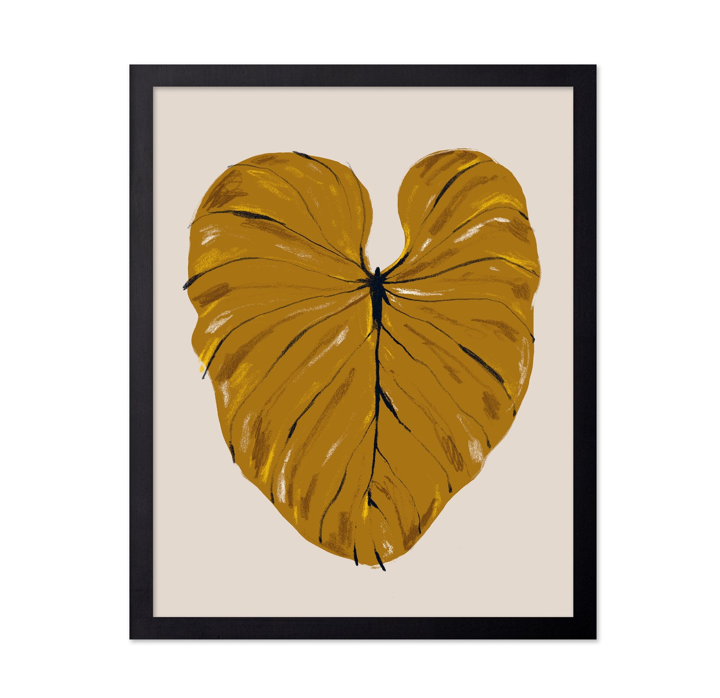 Philodendron Gloriosum Mustard