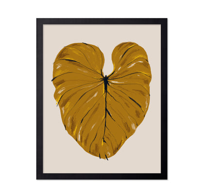 Philodendron Gloriosum Mustard