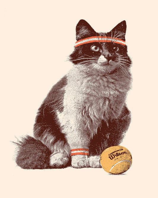 Cat Tennis