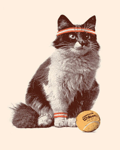Cat Tennis