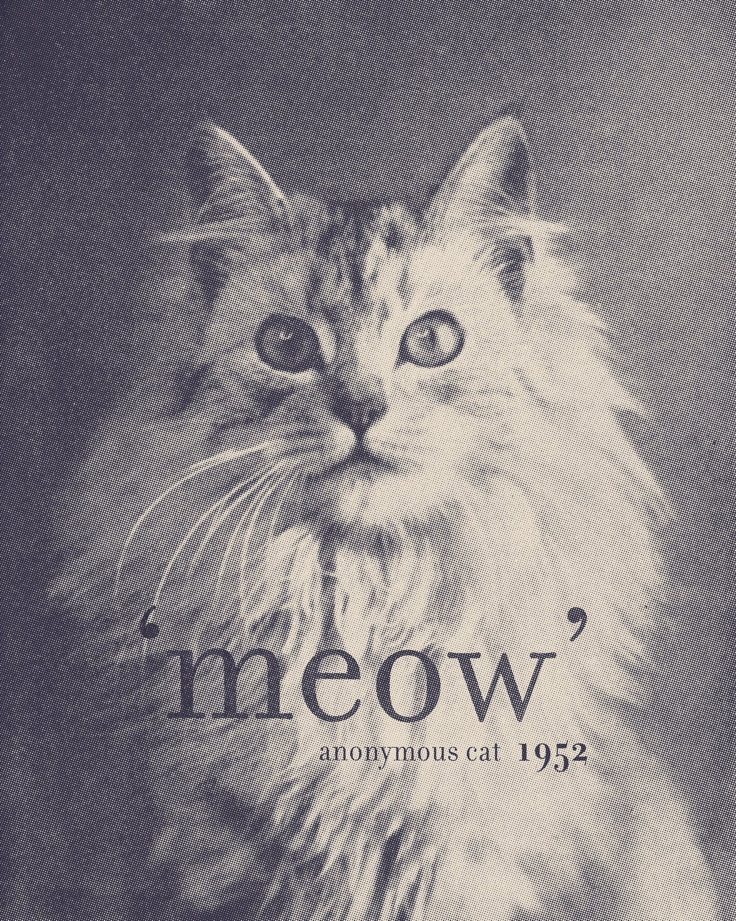 Famous Quote Cat