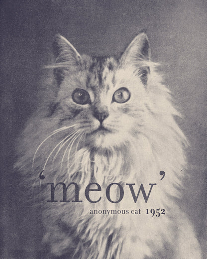 Famous Quote Cat