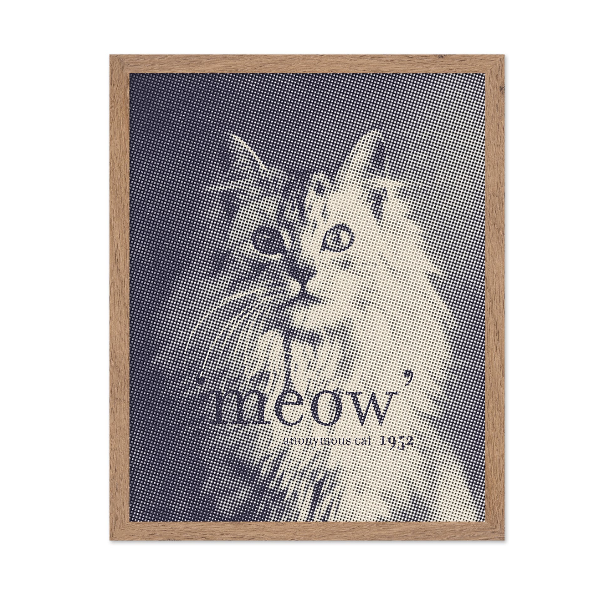 Famous Quote Cat