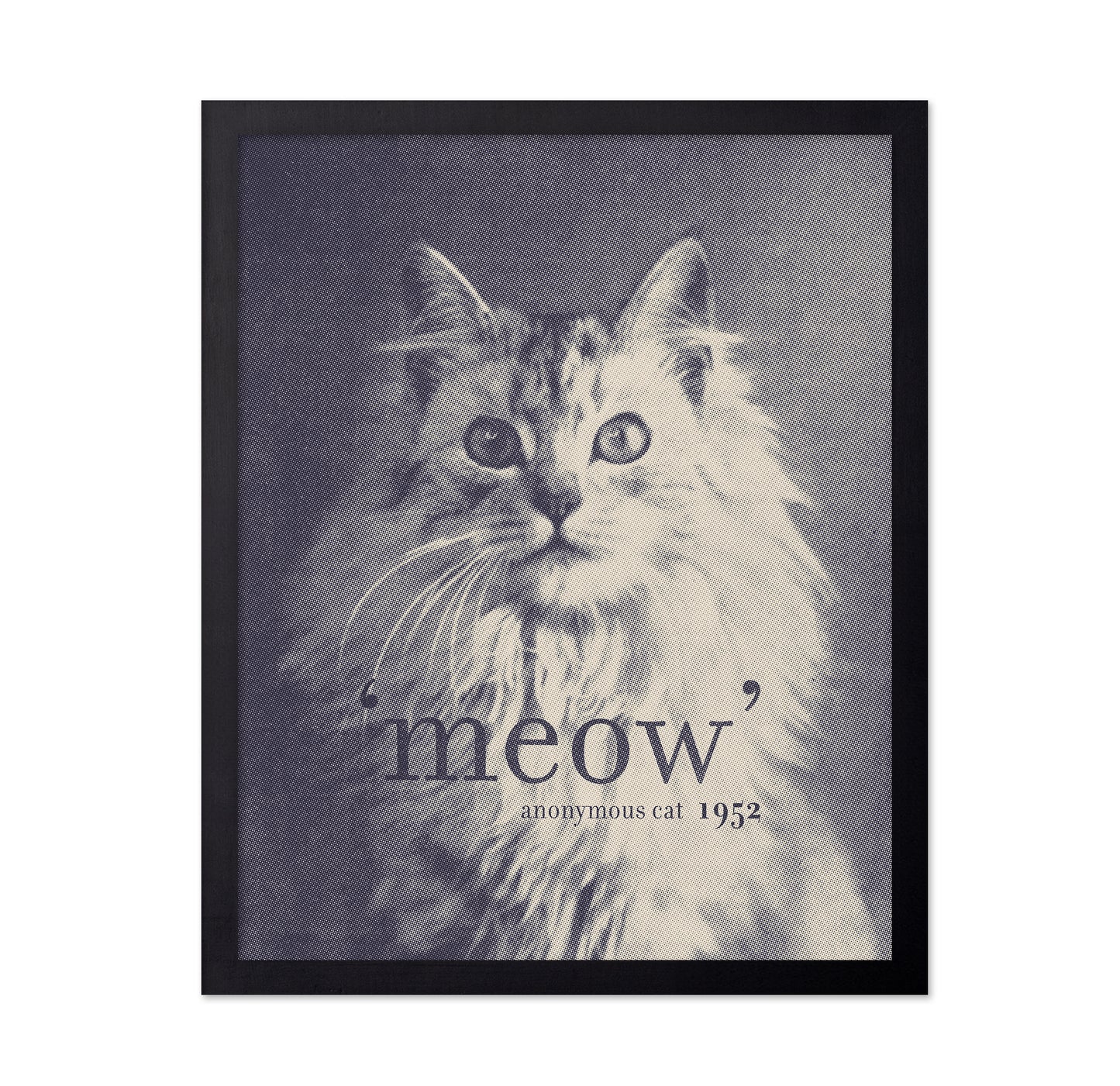 Famous Quote Cat