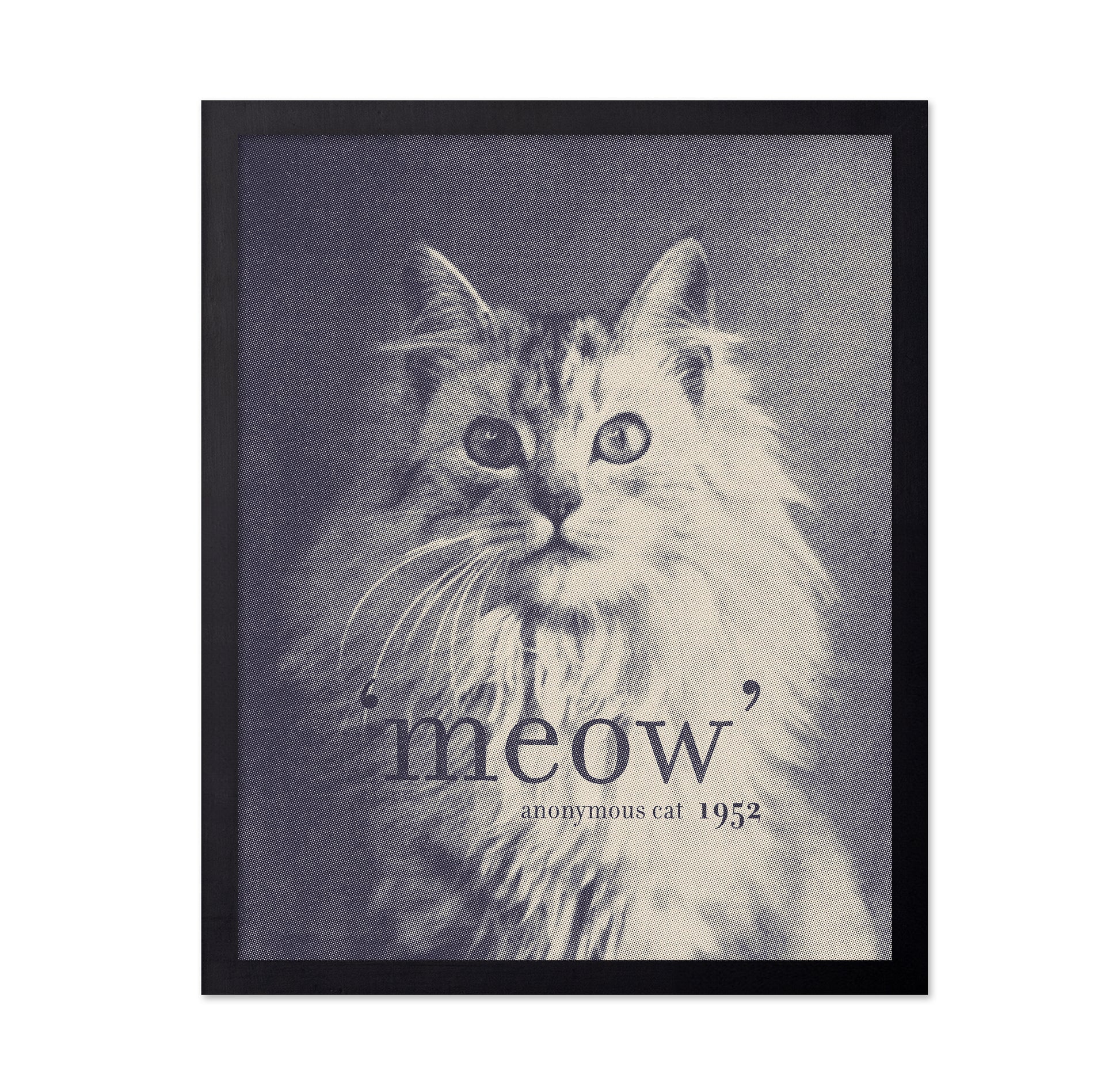 Famous Quote Cat