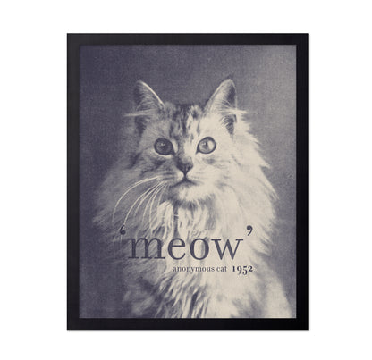 Famous Quote Cat