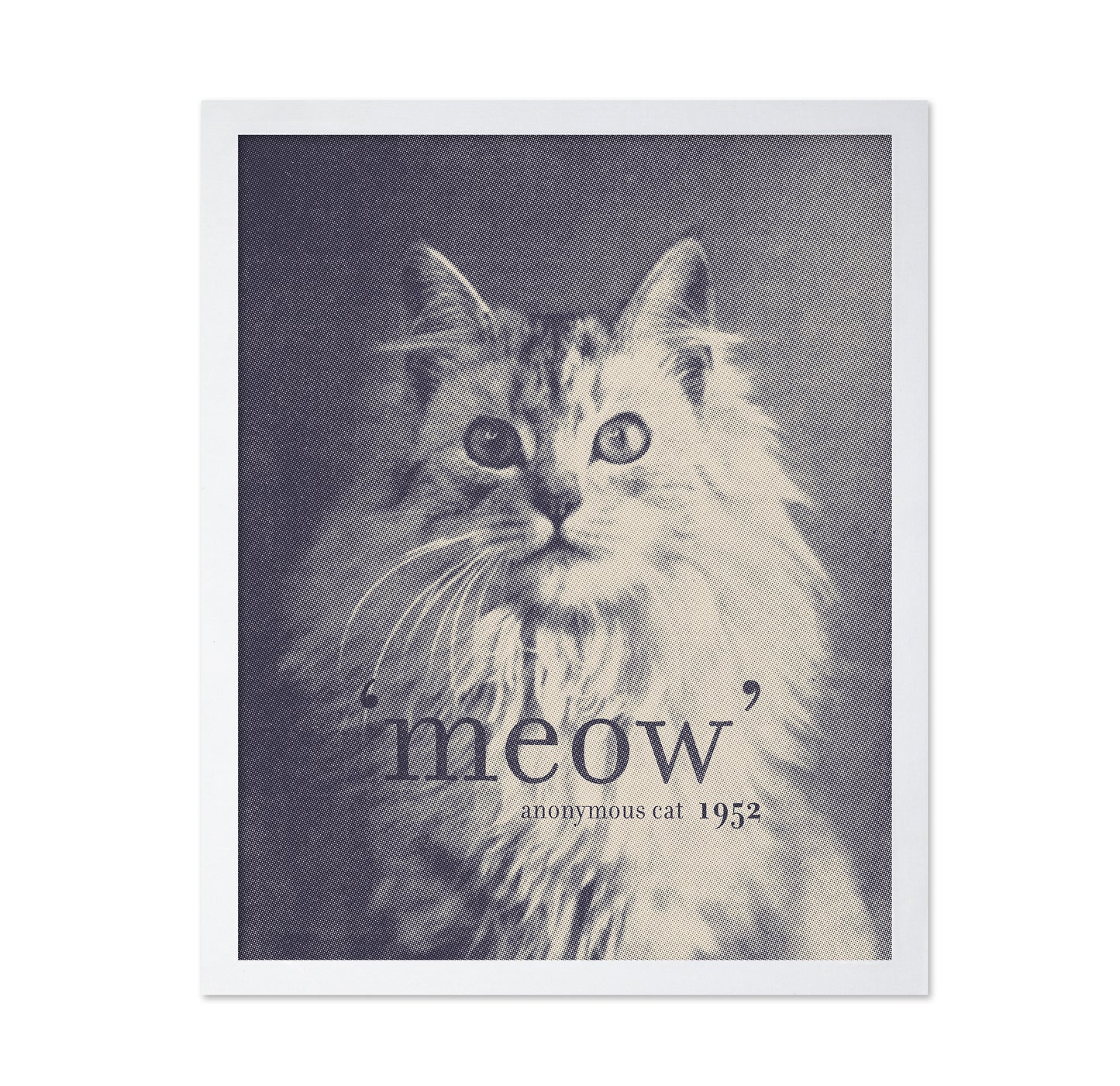 Famous Quote Cat