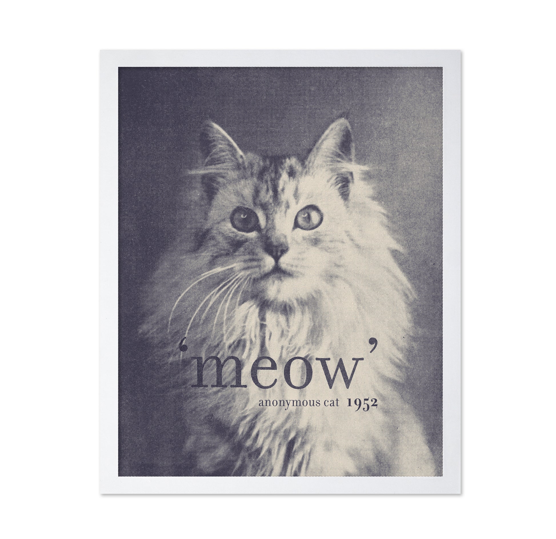 Famous Quote Cat