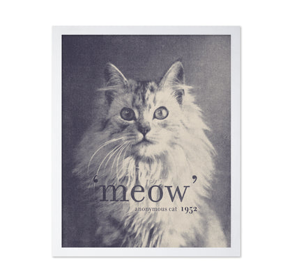 Famous Quote Cat