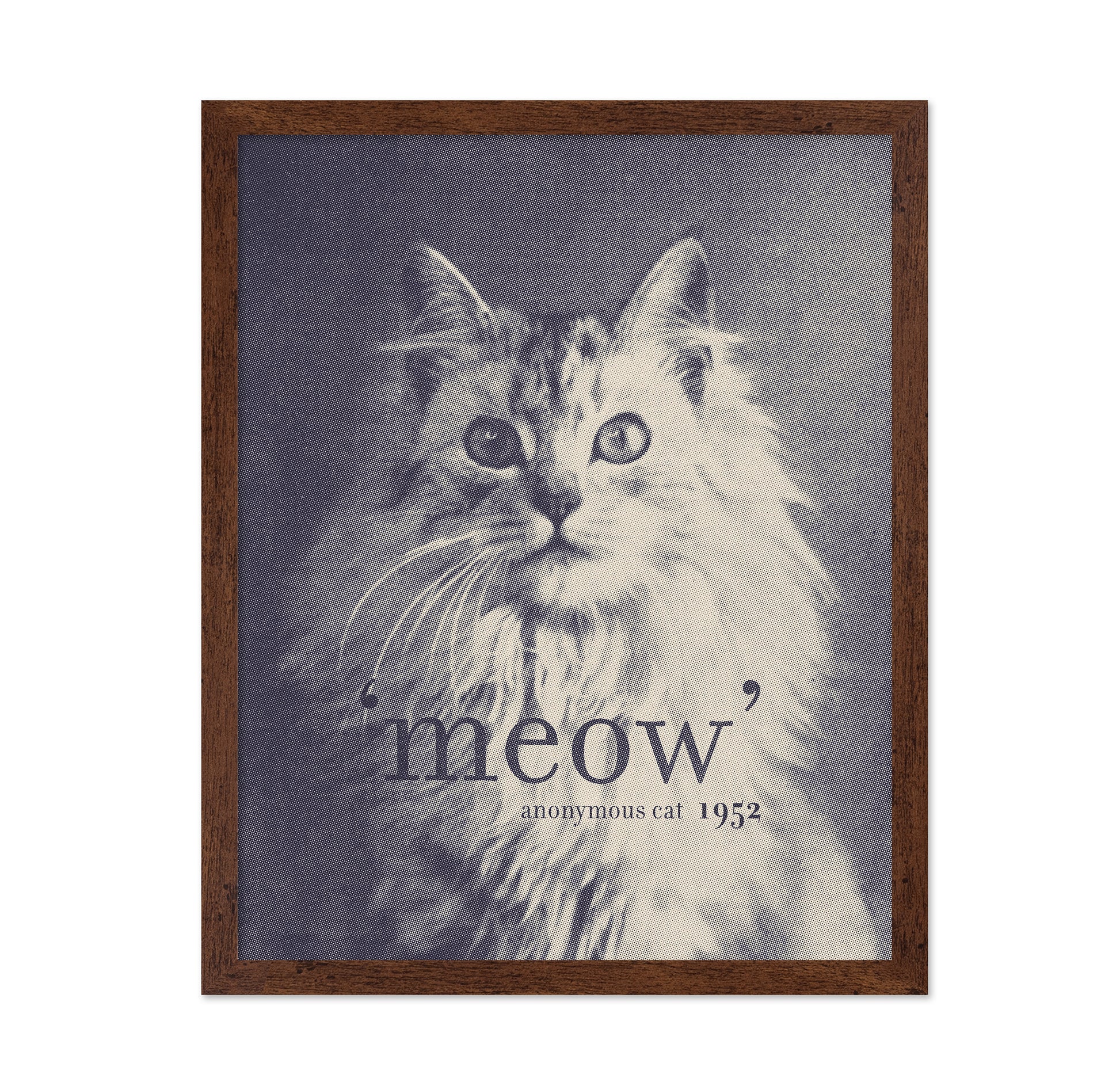 Famous Quote Cat