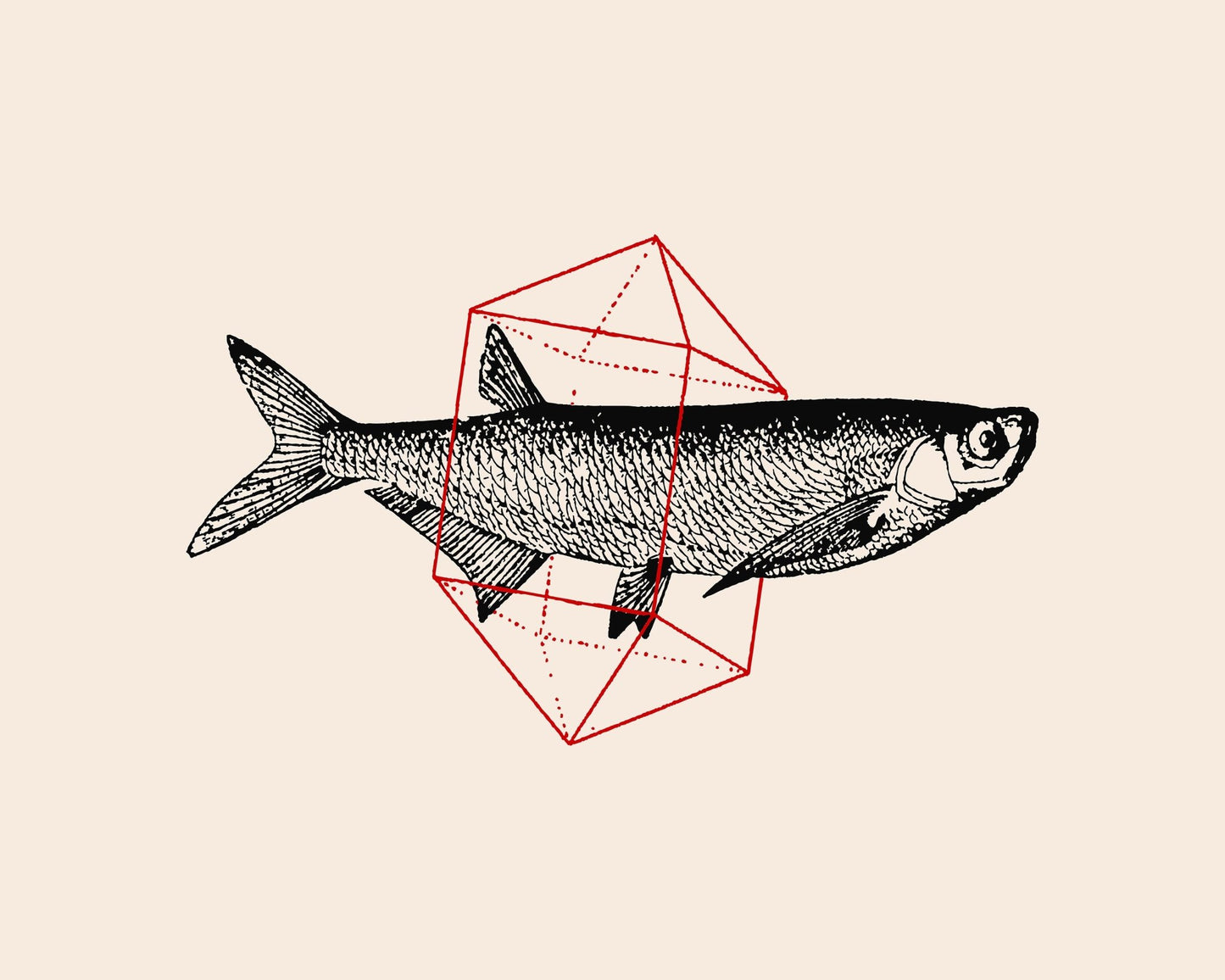 Geometric Fish