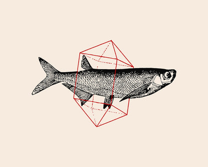 Geometric Fish