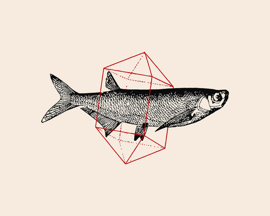 Geometric Fish