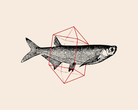 Geometric Fish