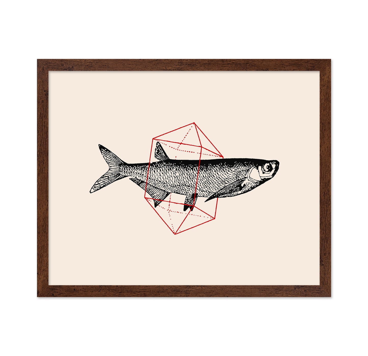 Geometric Fish