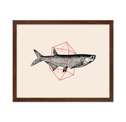 Geometric Fish