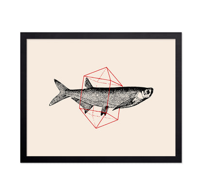 Geometric Fish