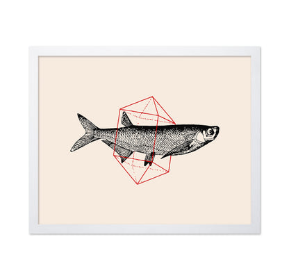 Geometric Fish
