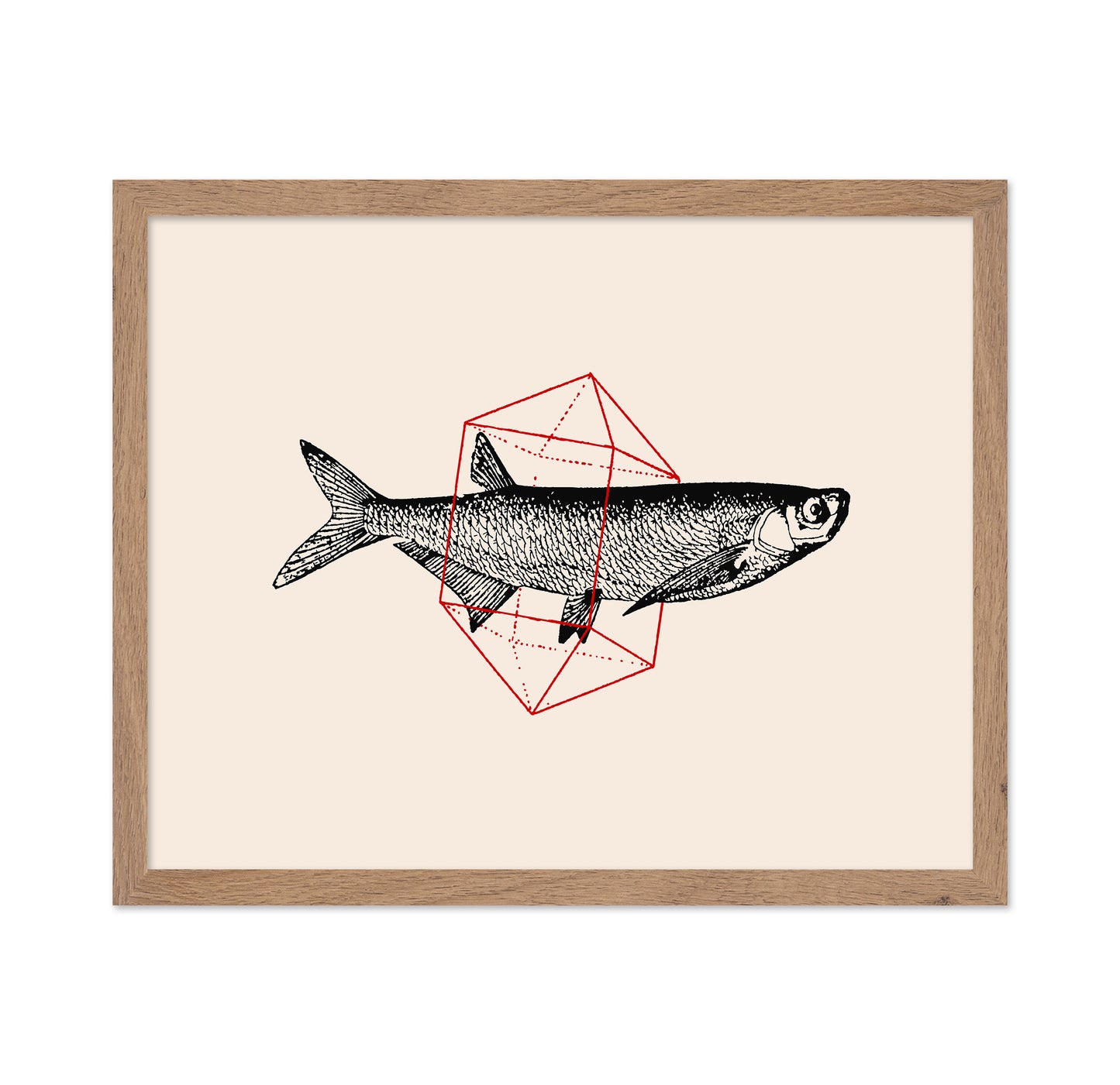 Geometric Fish