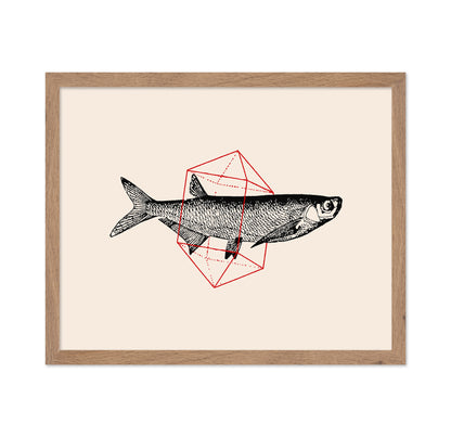 Geometric Fish