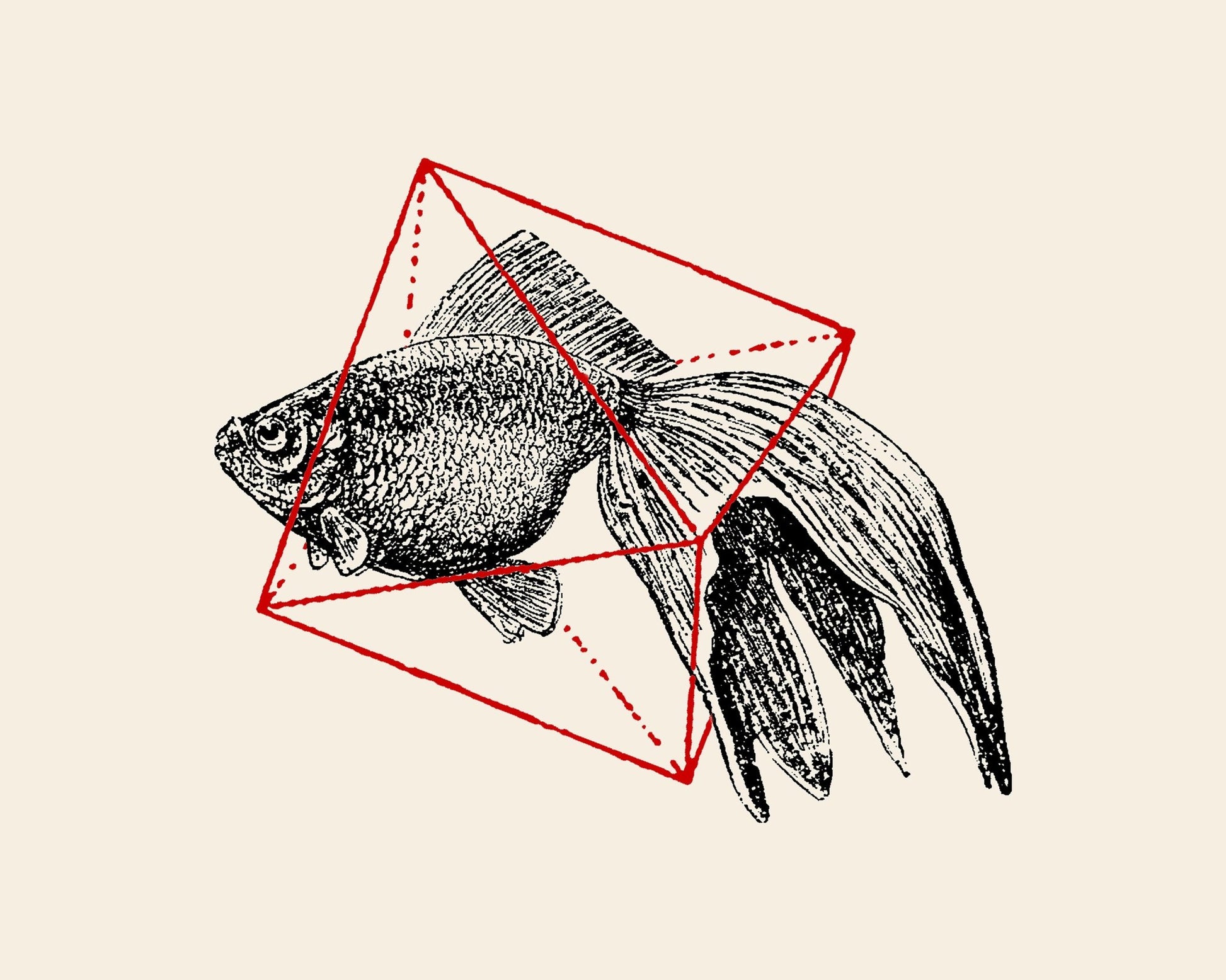 Fish In Geometrics