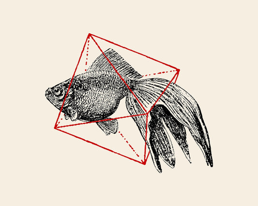 Fish In Geometrics
