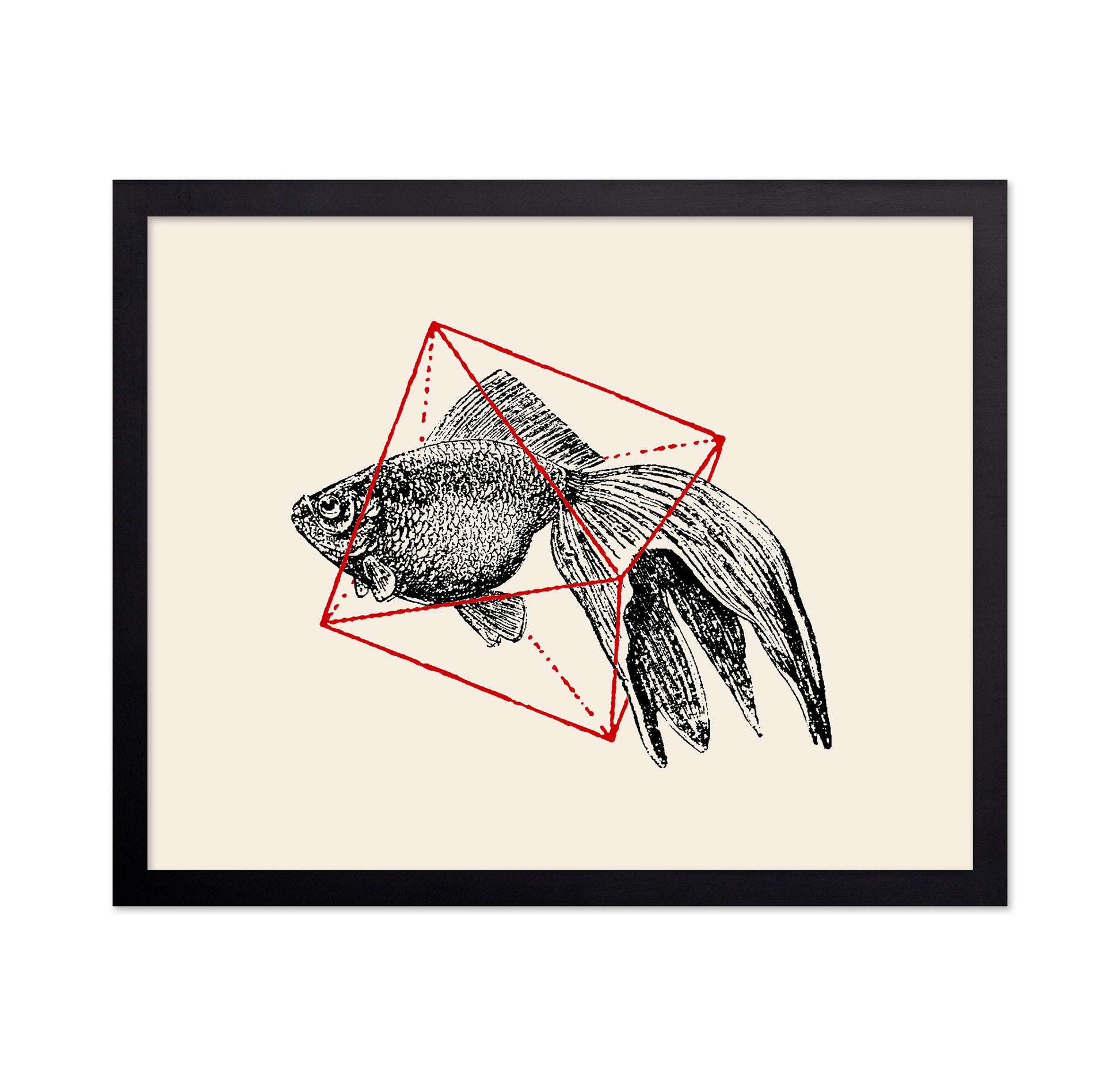 Fish In Geometrics