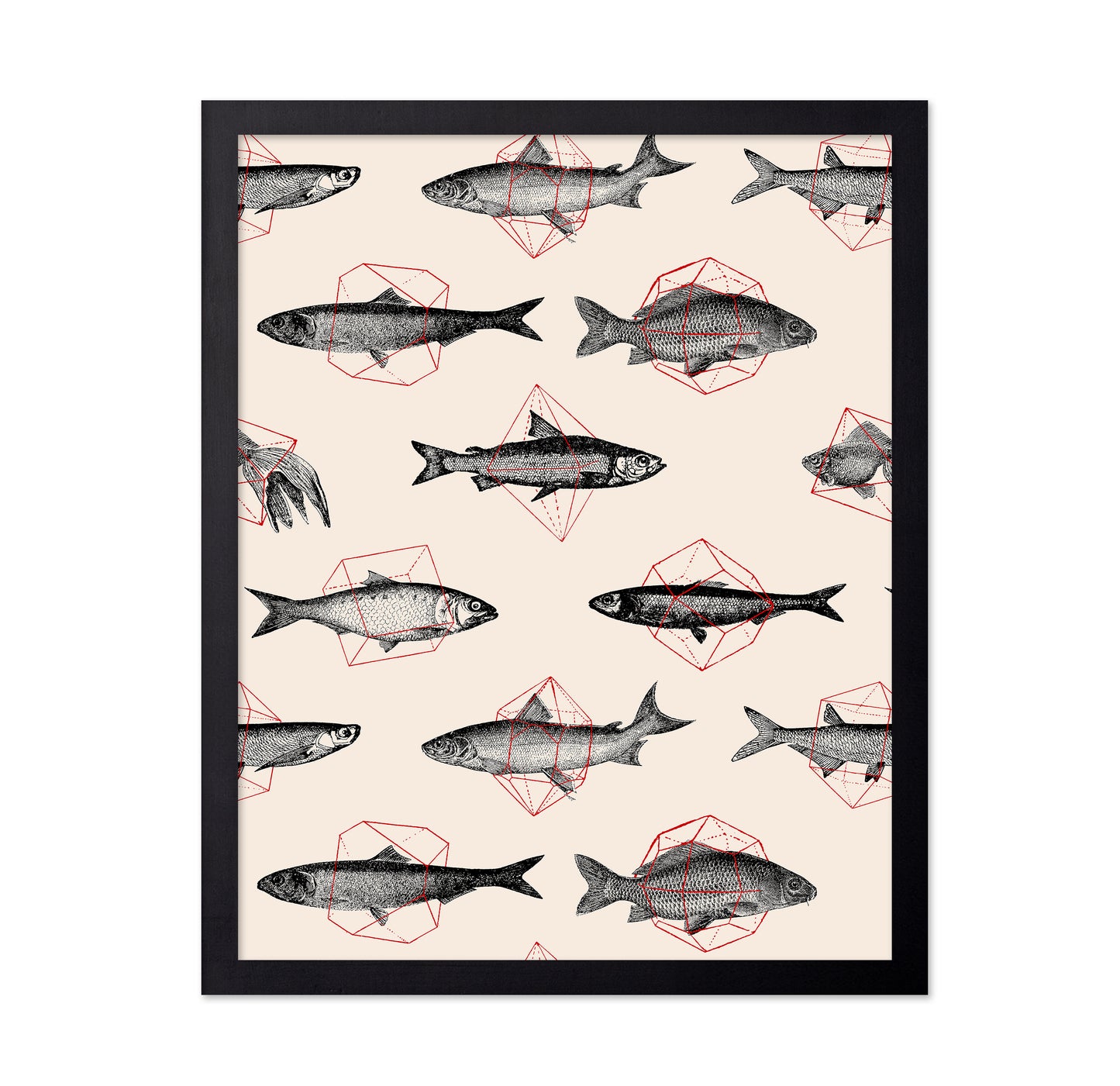 Fishes in Geometrics