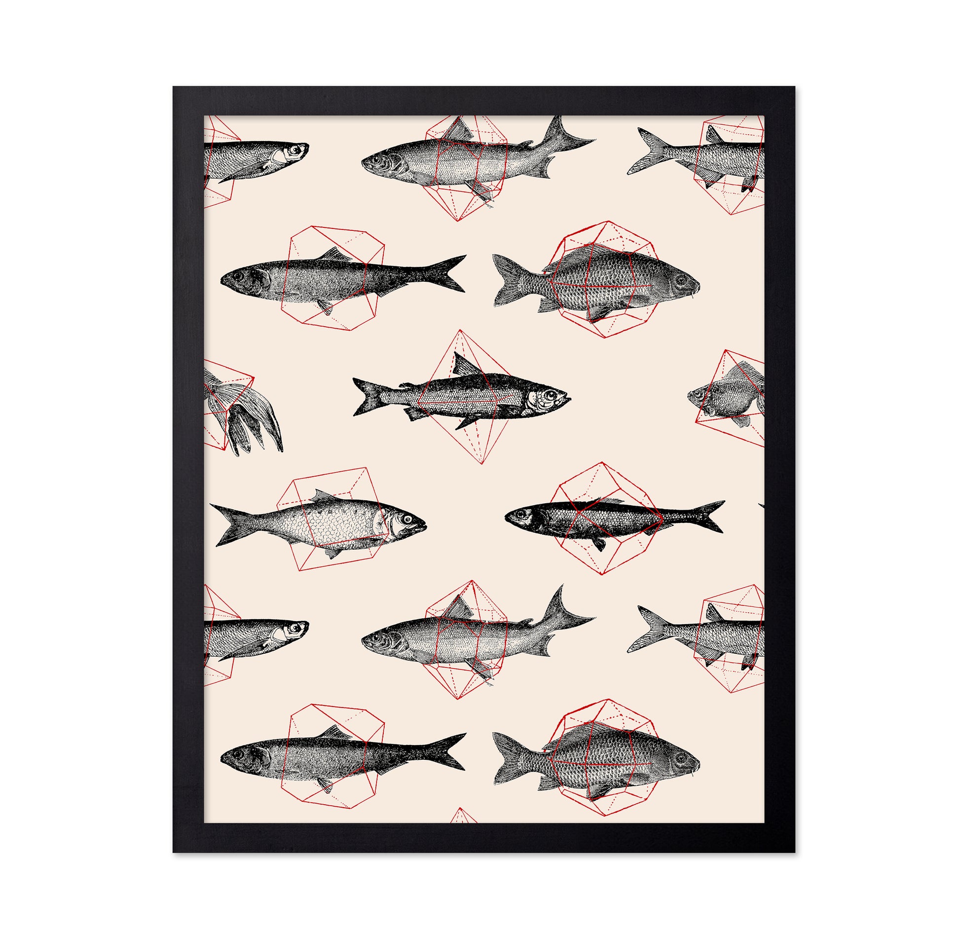Fishes in Geometrics