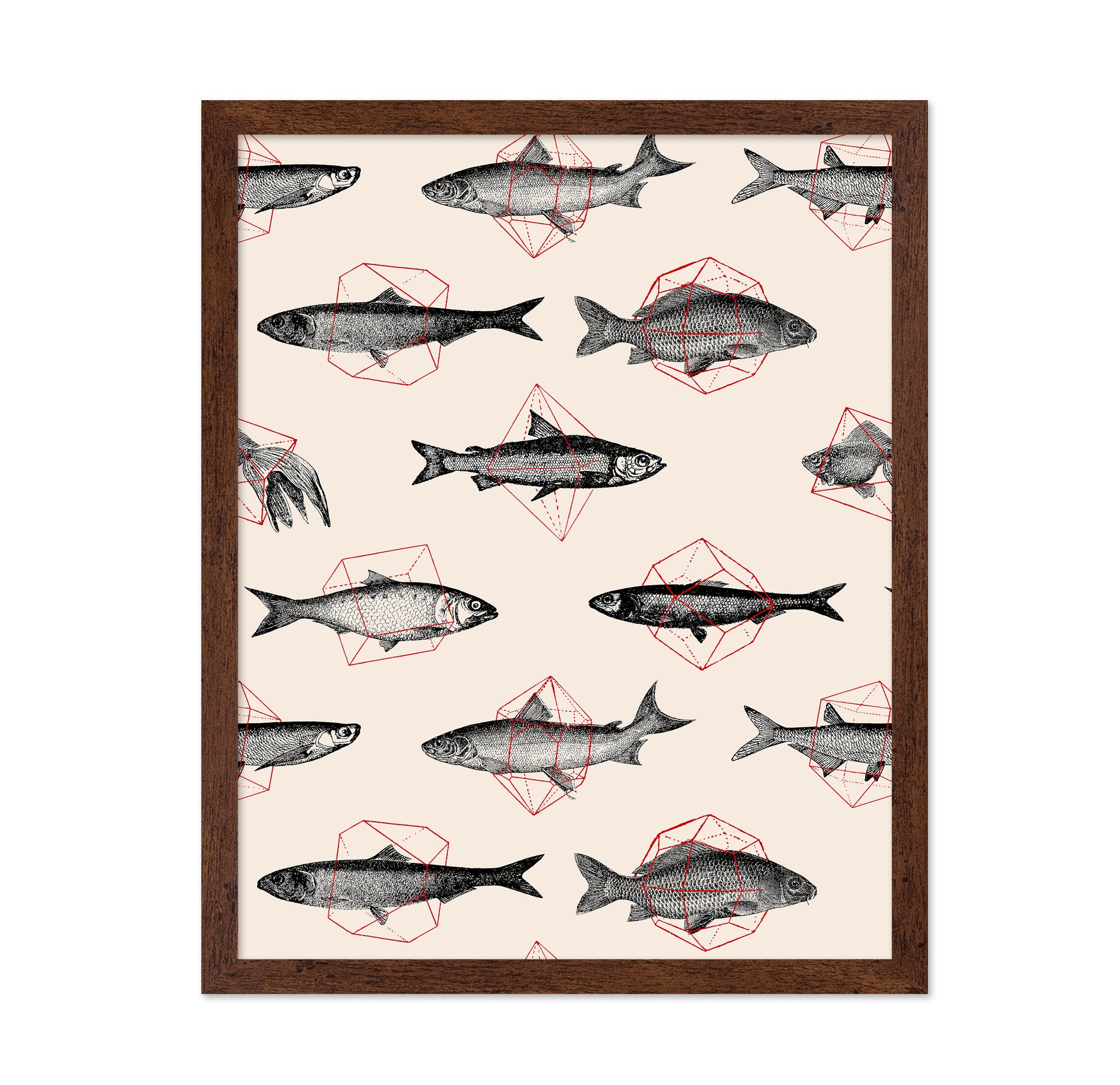 Fishes in Geometrics